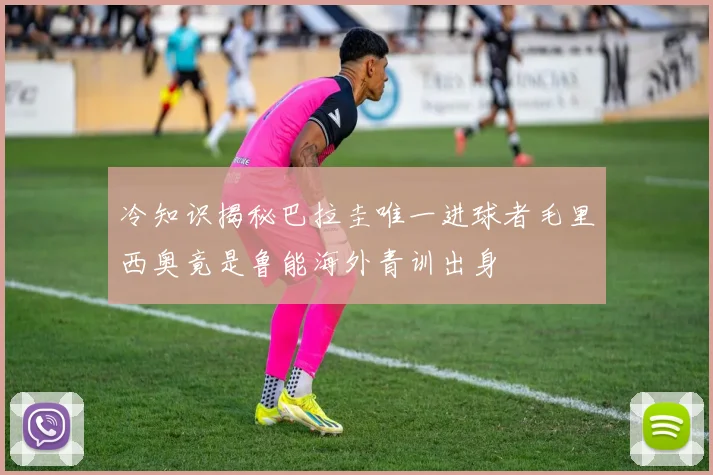 冷知识揭秘巴拉圭唯一进球者毛里西奥竟是鲁能海外青训出身