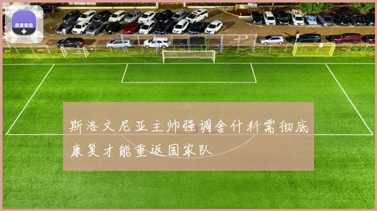 斯洛文尼亚主帅强调舍什科需彻底康复才能重返国家队